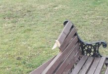 Vandalism la Motru, se caută vinovații