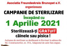 Campanie de sterilizare a patrupedelor, la Rovinari