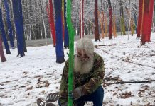 Împădurire în Pădurea Colorată!