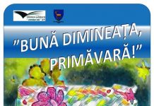 Concurs online de poezie pentru elevi