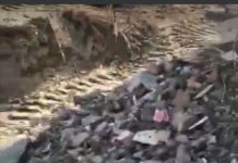 Acțiune comună a Gărzii de Mediu și IPJ Gorj!