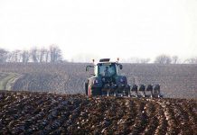 Agricultura pe înțelesul tuturor – Iarnă deosebită – grijă deosebită pentru lucrări agricole în repausul vegetativ