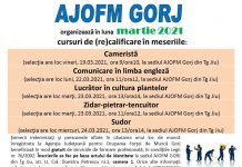 De mâine, AJOFM demarează selecția persoanelor pentru cursurile de formare profesională