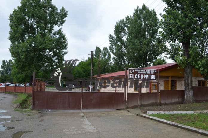 CEO închiriază autovehicule pentru ELCFU Motru