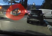 Video: Vârstnic surprins în timp ce sustrăgea un butaș de trandafir de pe domeniul public