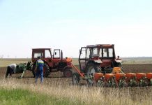 Direcția Agricolă Gorj face angajări pe perioadă determinată pentru Recensământul General Agricol