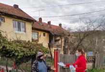 Asistentele medicale școlare, în teren de Ziua Mondială a Sănătății