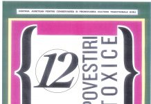 Florin Hutium expune la CJCPCT Gorj