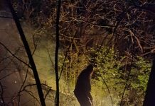VIDEO: Incendiu de pădure, stins fără pompieri la Stoina! Primarul și angajații primăriei s-au luptat cu flăcările