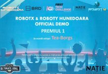 Un nou premiu pentru Tea-Borgs