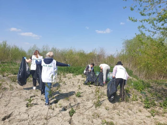 178365729_279549703715942_6635601783971307889_n