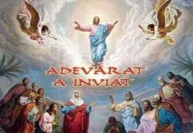 Calea, Lumina, Adevărul şi Viaţa – Interviu cu Părintele Prof. univ. dr. Constantin Necula, Prodecanul Facultăţii de Teologie Ortodoxă «Andrei Şaguna» din Sibiu – ,,Învierea este o stare de fapt, prin care lumea se poate uni şi îndrepta către Împărăţia lui Dumnezeu”!