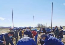 Liberalii la plantat, în Drăgoieni!