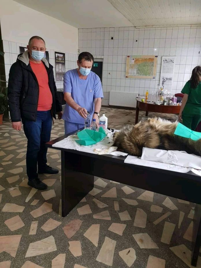 FB_IMG_1618681632045