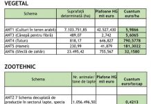 APIA a demarat autorizarea la plată a Ajutoarelor Naționale Tranzitorii