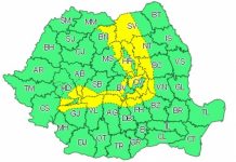 Cod galben de ninsori