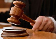 Condamnat pentru că a instigat la tăiere ilegală de arbori