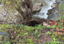 Alimentarea cu apă a municipiului Târgu-Jiu, în pericol. Lucrări urgente!