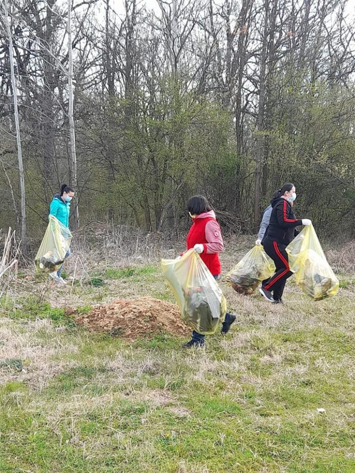 ecologizare dragutesti