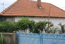 A dat iama în curţile oamenilor! Dosar penal pentru furt calificat