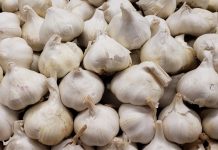 Programul de susținere a producției de usturoi, aprobat! Vezi condițiile și bugetul!