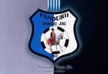 Încă un război pentru Pandurii? Dispute pe stemă și denumire