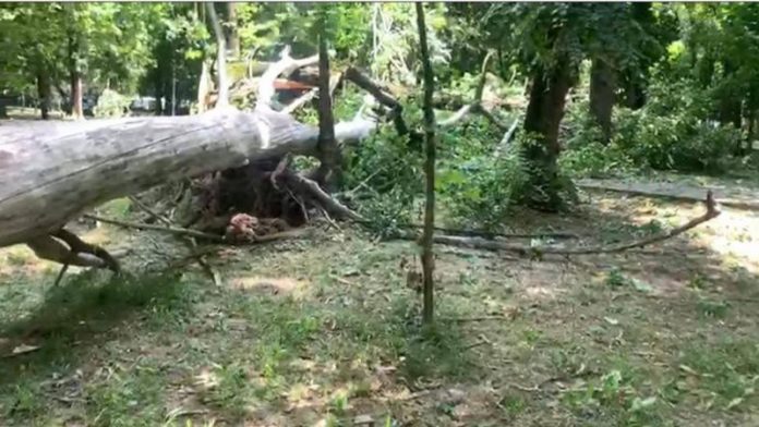 186319765_1092310974589175_1315121195044402781_n