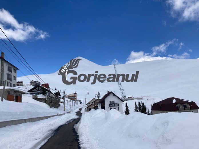 188300034_4142923572439611_2545709370532371924_n