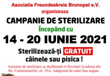 Campanie gratuită de sterilizare a patrupedelor, la Rovinari