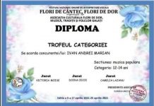 Noi trofee pentru elevii Școlii Populare de Arte