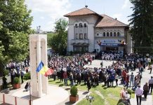 Duminică se urcă oile la Novaci dar fără formații din țară