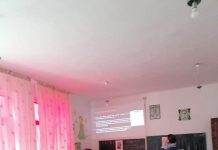 Consiliere în carieră pentru elevii din Crușeț