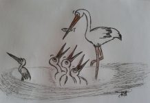 Povestiri din grădină: Bărzănel cel Mofturos