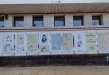 Expoziție stradală în centrul municipiului Târgu Jiu