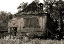 Educaţia…şi «Lecţia» de viaţă! – Despre lumea satului într-un spaţiu al depopulării