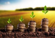 Au fost aprobate plafoanele financiare alocate măsurilor de sprijin cuplat în sectorul vegetal!