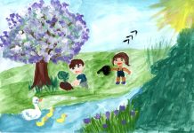 Concurs de eseu, desen și fotografie pentru elevi