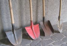 CEO dă 50.000 de lei pe lopeți