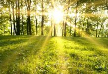 Lunea Albă, Săptămâna Luminată