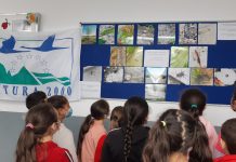 Gorj: Acțiuni de educație ecologică și plantări de arbori