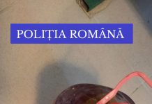 Vindea substanţe expirate şi neautorizate, pe post de produse pentru culturile agricole