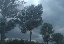 Cod galben de vijelii în Gorj şi alte 9 judeţe