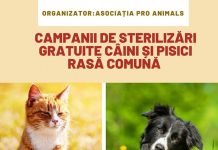 O nouă campanie de sterilizare gratuită a patrupedelor, la Târgu-Jiu