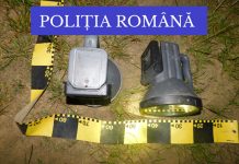 Indivizi din Olt, prinşi în flagrant! Tranşau o căprioară în pădurea din Logreşti!