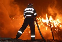 Novaci: Incendiu de vegetație, extins și la pădure! Voluntarii, alături de pompieri