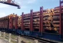 S-a înființat Garda Forestieră Națională