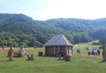 S-a deschis tabăra de sculptură de la Polovragi