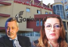 Noul model organizațional la CEO: posturi de directori pentru oamenii cu ștaif din proximitatea LDP