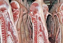 Amendă pentru un abator și un fast-food din Gorj