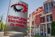 Prosoape flaușate pentru angajații CEO. Șase firme „s-au bătut” pentru contract!